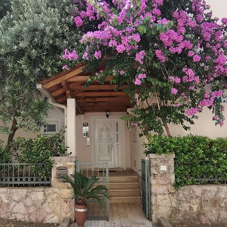 Apartments Maris Petrovac Exterior photo