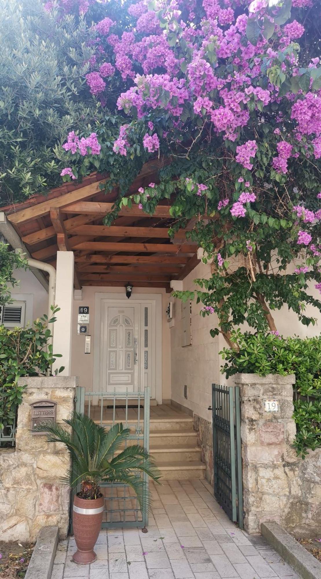 Apartments Maris Petrovac Exterior photo