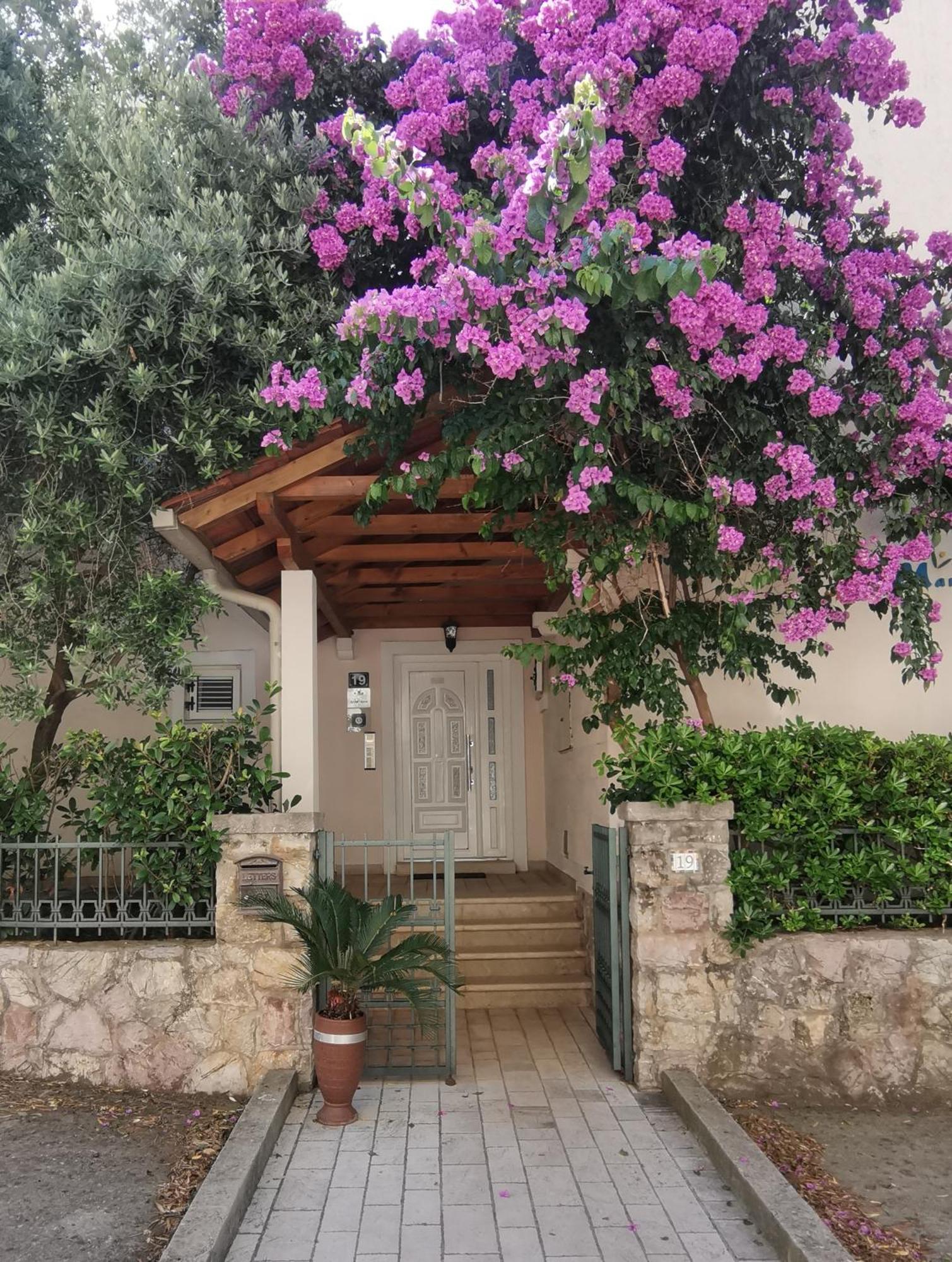 Apartments Maris Petrovac Exterior photo