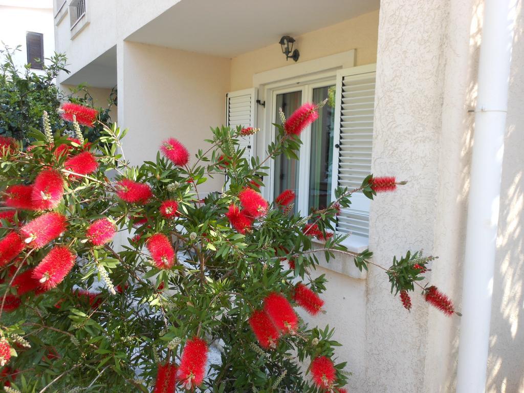 Apartments Maris Petrovac Room photo